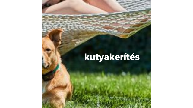 láthatatlan kerítés, kutyakerítés